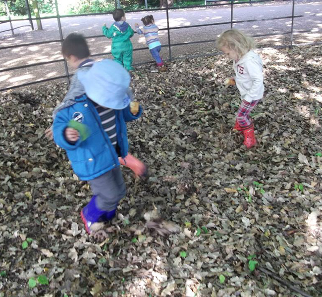 A Forest School day out in May