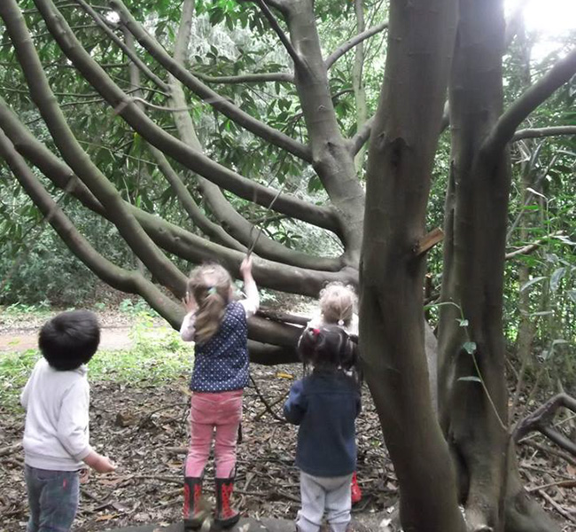 A Forest School day out in May